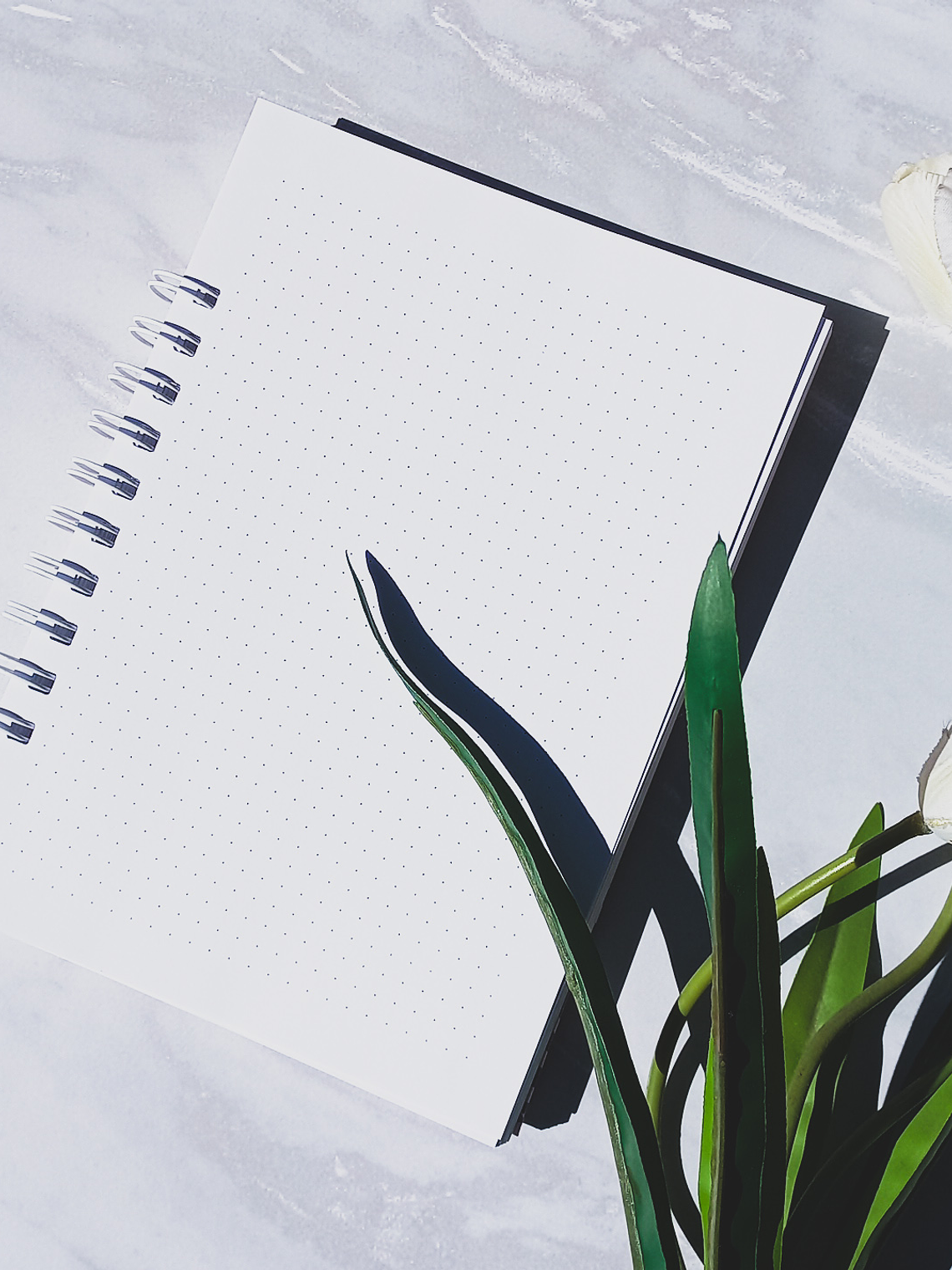 Cuaderno A5 (Tapa Dura) Believe in Yourself - 80 hojas puntos 2