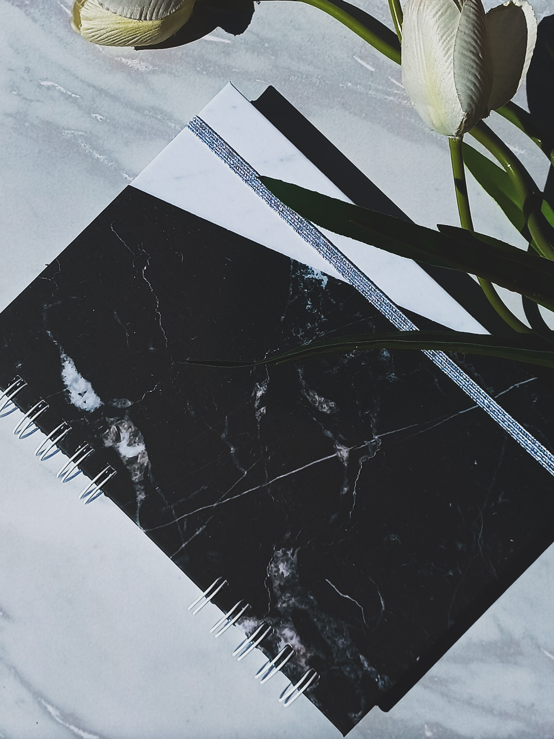 Cuaderno A5 (Tapa Dura) Portada Nº539  - 100 hojas cuadros 1