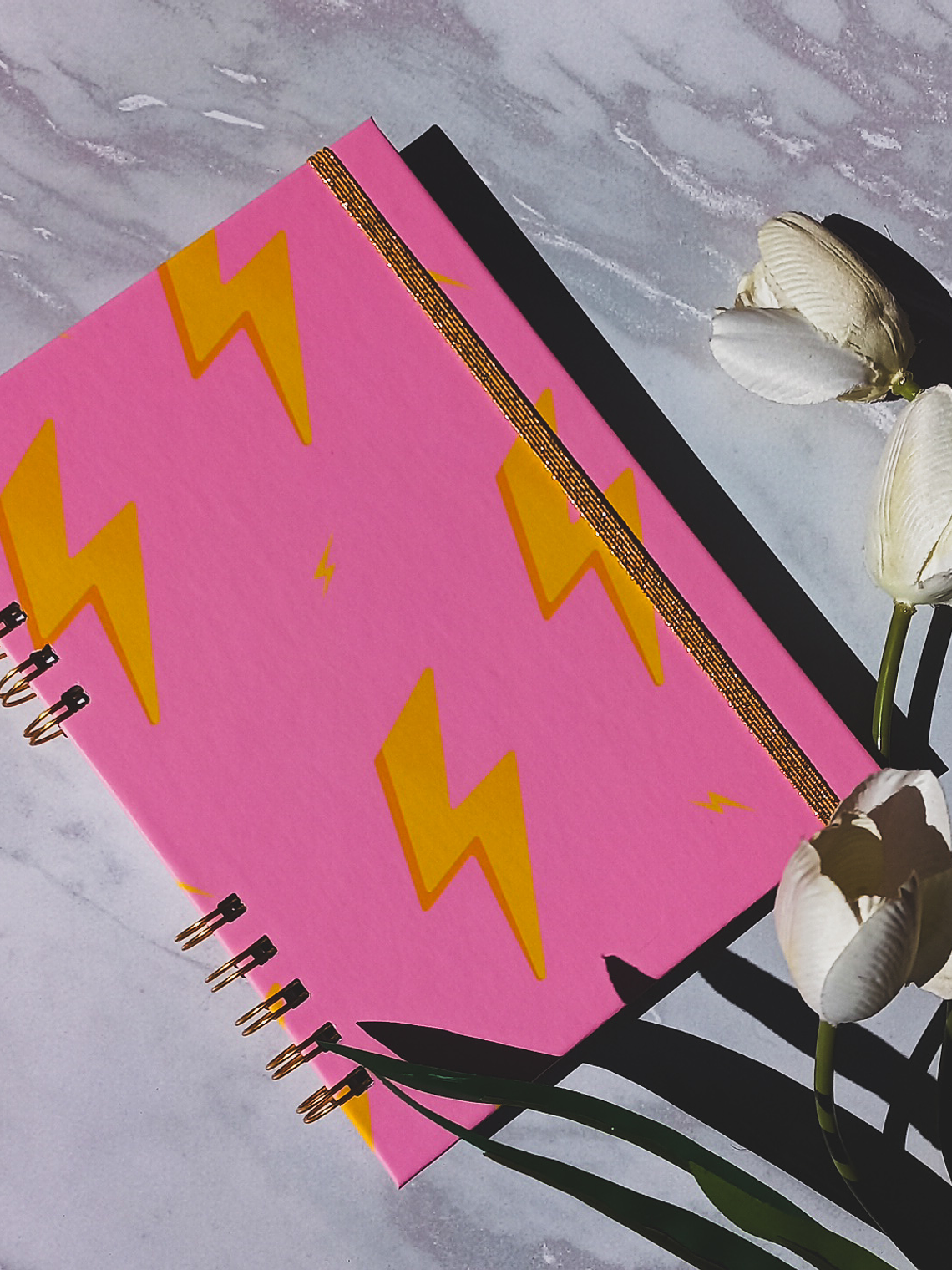 Cuaderno A5 (Tapa Dura) Portada N°675 - 100 hojas cuadros 1