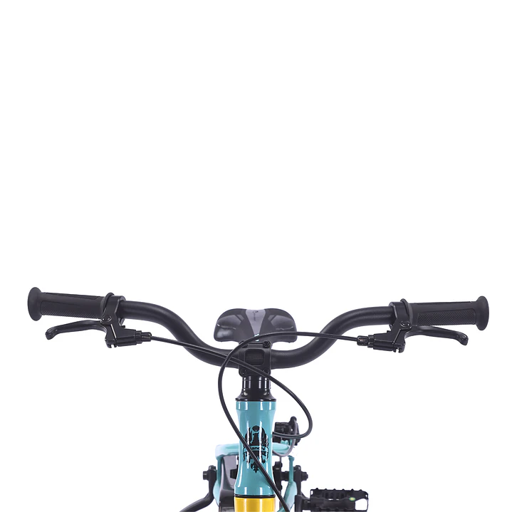 BIANCHI ALLOY 16 ST CELESTE BIANCHI 4