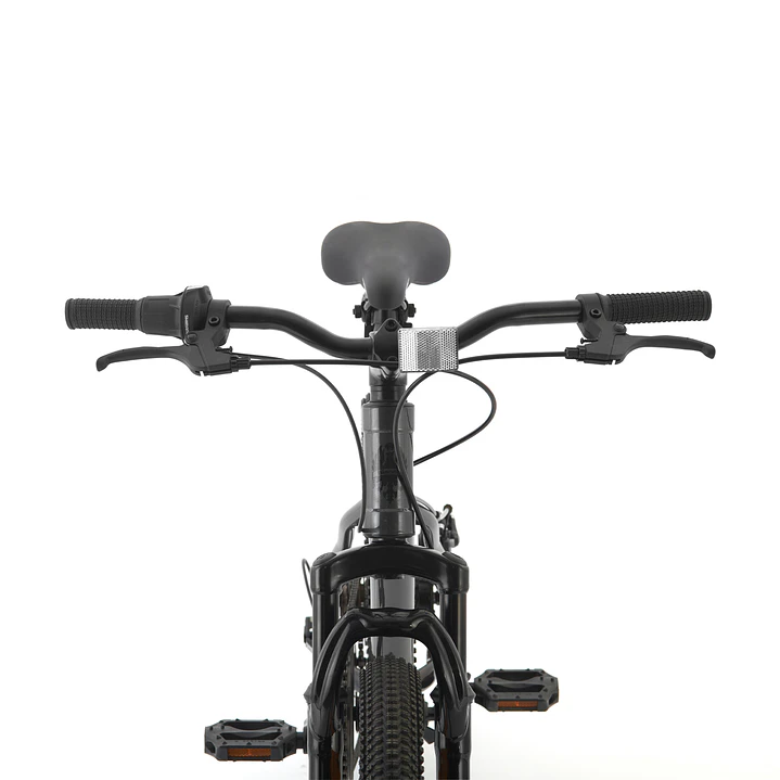 BIANCHI WOLF 20 SX GRIS 3