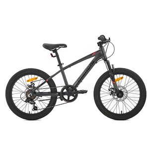 BIANCHI WOLF 20 SX GRIS