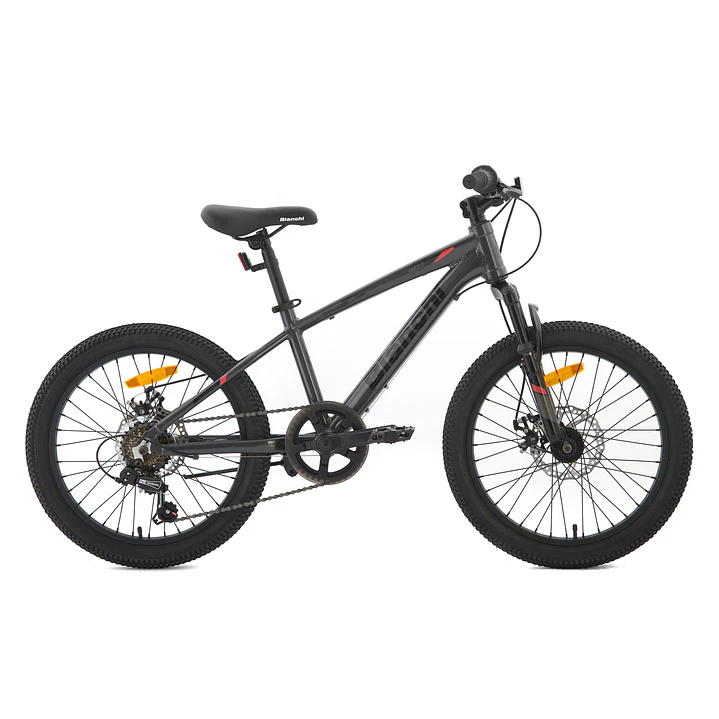 BIANCHI WOLF 20 SX GRIS 1