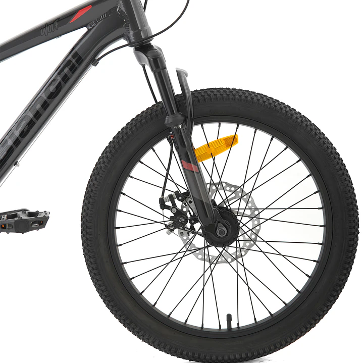 BIANCHI WOLF 20 SX GRIS 5