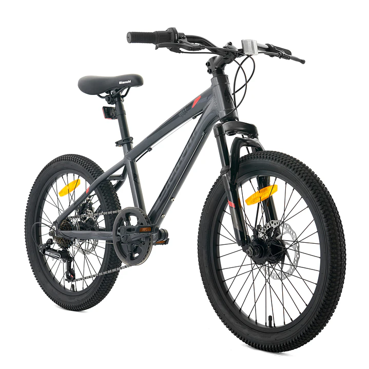BIANCHI WOLF 20 SX GRIS 2