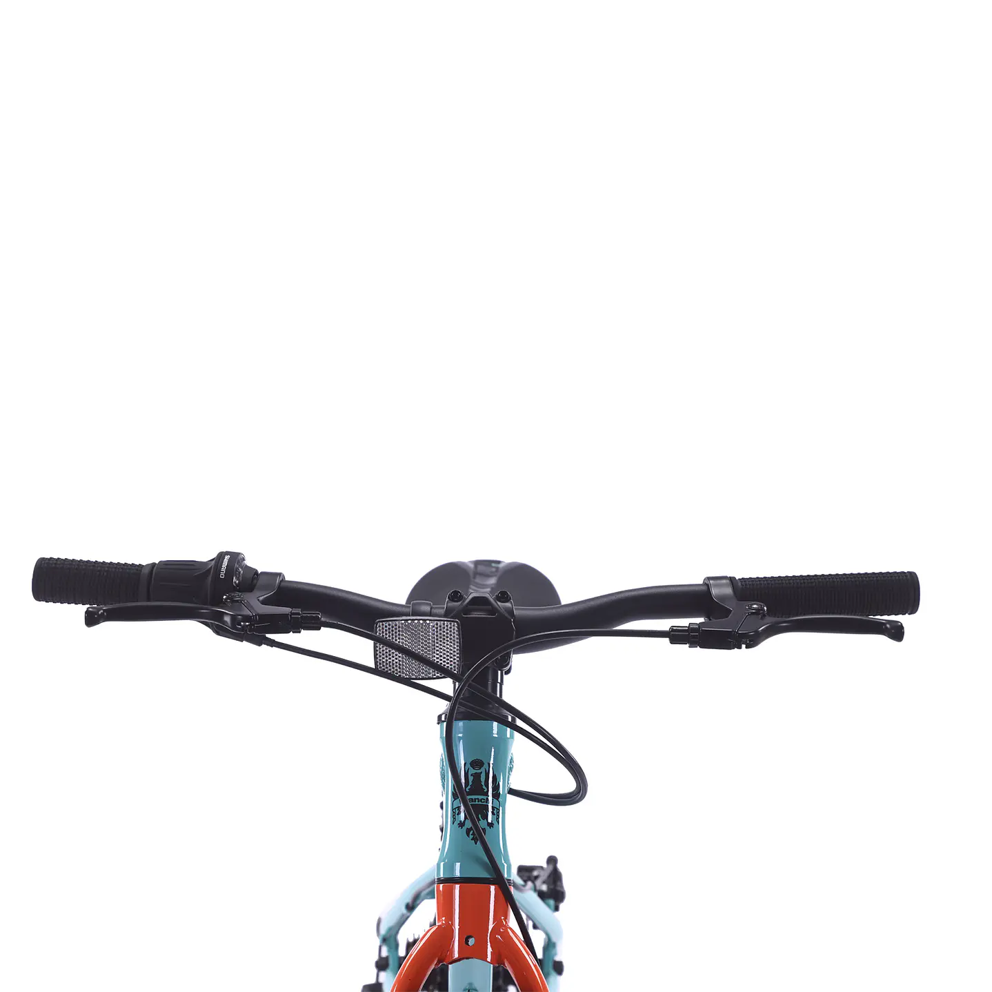 BIANCHI ALLOY 20 ST CELESTE BIANCHI 4