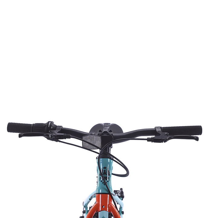 BIANCHI ALLOY 20 ST CELESTE BIANCHI 4