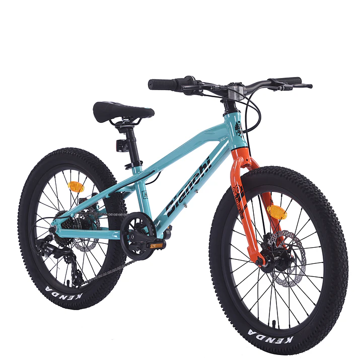 BIANCHI ALLOY 20 ST CELESTE BIANCHI 1