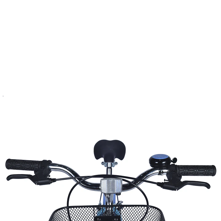 BIANCHI CLASSIC 20 ST LADY CELSTE / AZUL CLARO 3
