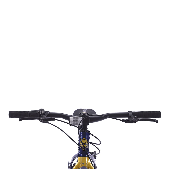 BIANCHI ALLOY 24 ST AZUL 3