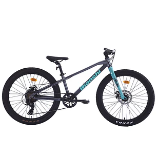 BIANCHI ALLOY 24 ST GRIS
