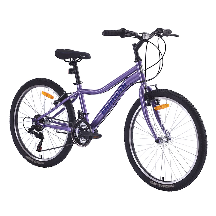 BIANCHI CLASSIC 24 ST LADY PURPURA 2