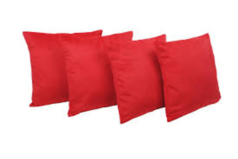 Set de 4 Cojines De Felpa 2