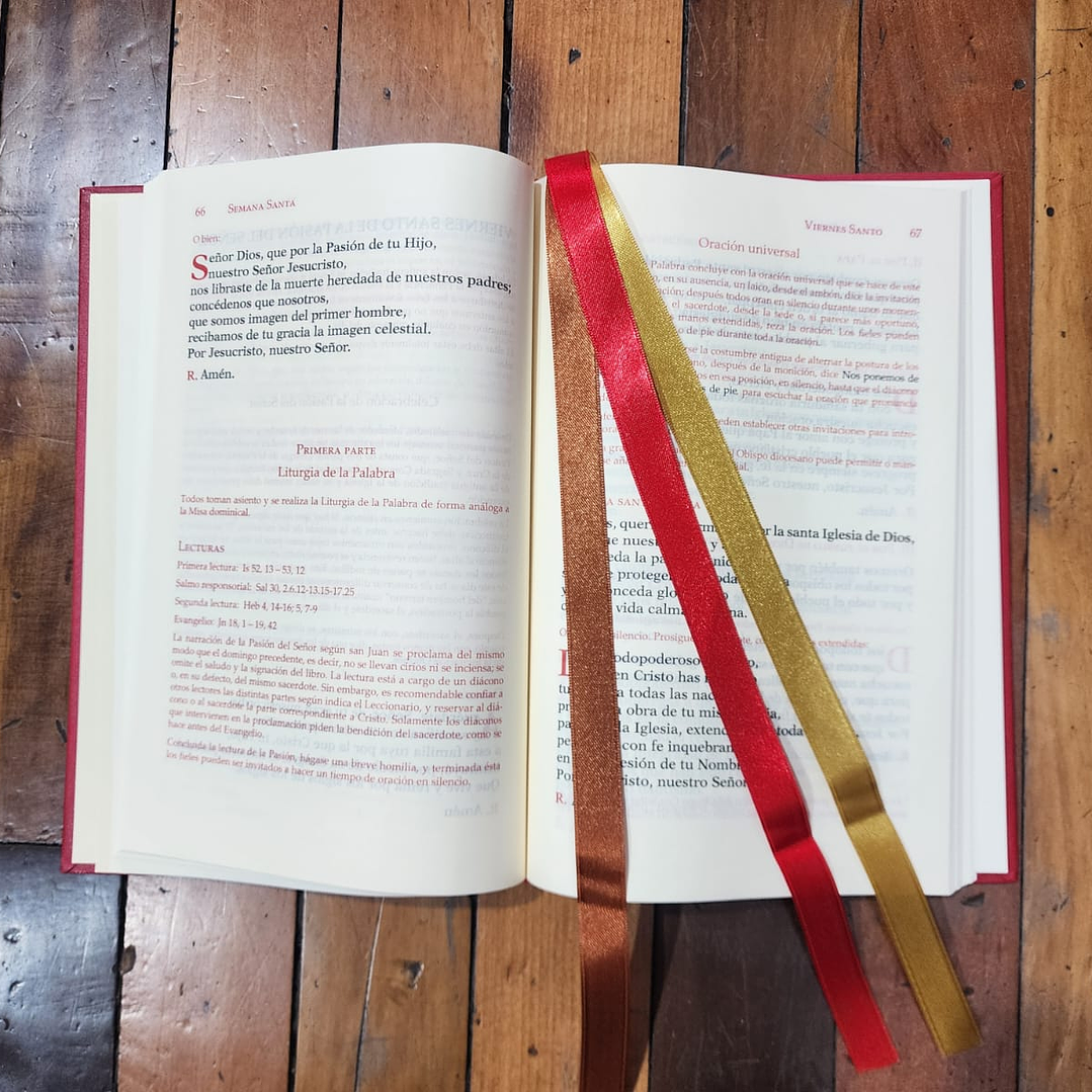 Leccionario  Tomo IV Rituales 2