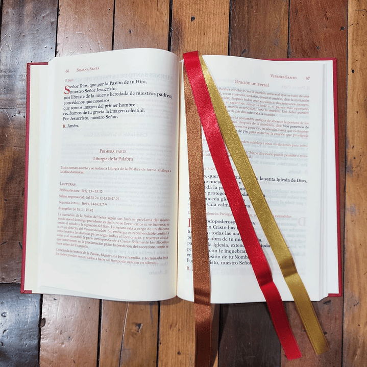 Leccionario  Tomo IV Rituales 2