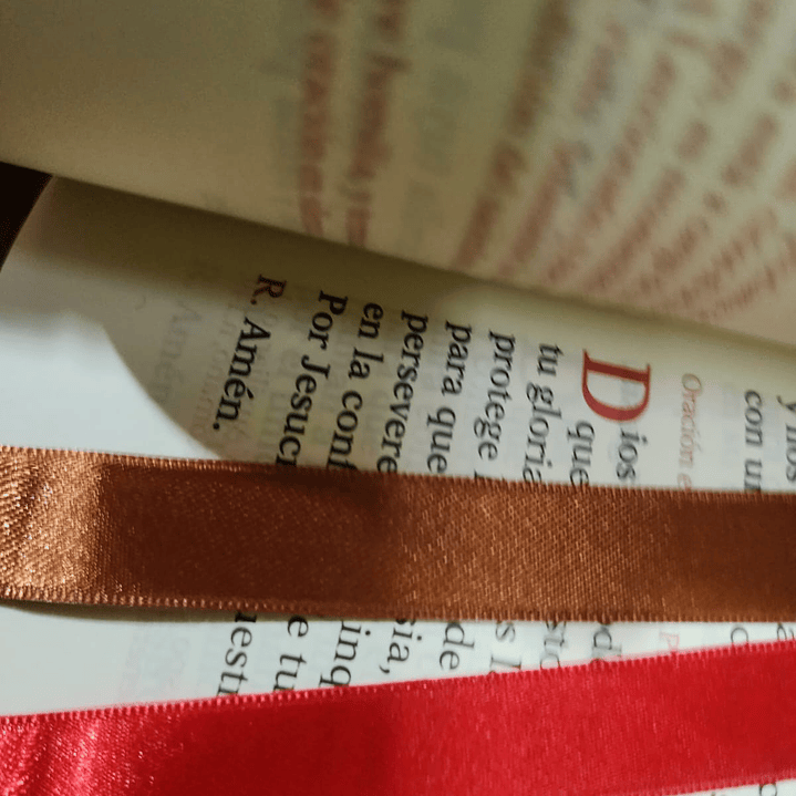 Leccionario  Tomo IV Rituales 4