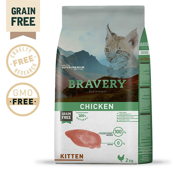  BRAVERY CHICKEN KITTEN