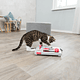 CAT ACTIVITY - "BRAIN MOVER" GAME FOR CATS