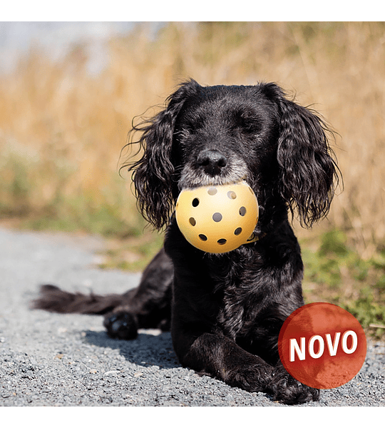  BOLA PARA CÃES INVISUAIS