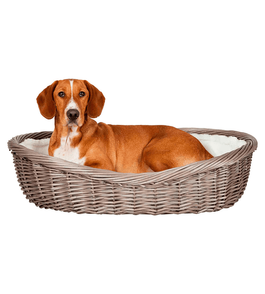 DOG BED FOR DOGS