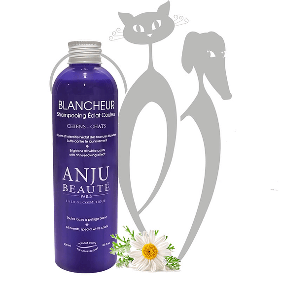 ANJU BEAUTÉ BLANCHEUR