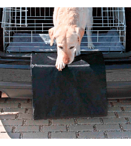 PROTECTOR DE PARA-CHOQUES