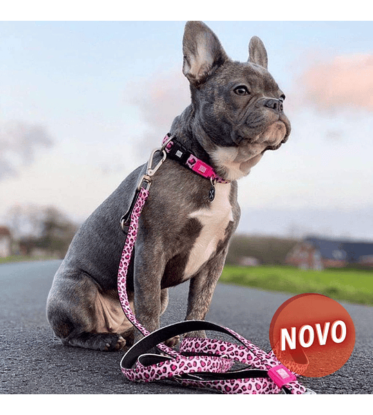 MAX & MOLLY - COLEIRA COM ID TAG "LEOPARD PINK" - 