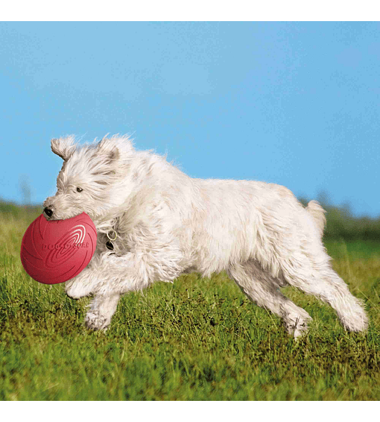 DISCO/FRISBEE FLUTUANTE EM BORRACHA NATURAL