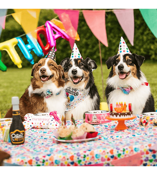 PET'S PARTY - VELAS