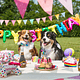 PET'S PARTY - CUPCAKE