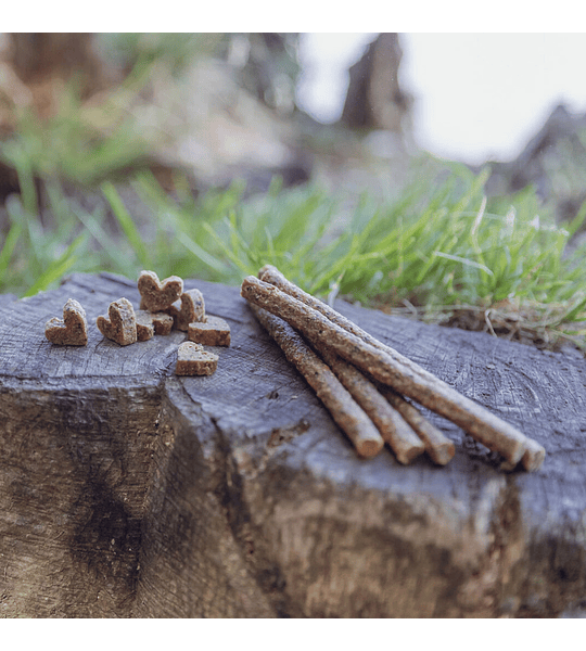 "INSECT STICKS" COM TENÉBRIO (PROTEÍNA DE INSETOS)