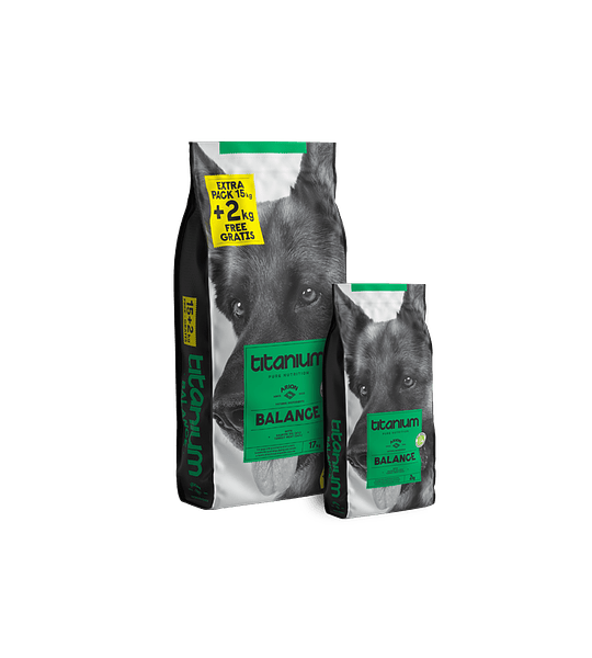 Arion Titanium Balance (VENDA E LEVANTAMENTO EXCLUSIVO NA LOJA FISICA)