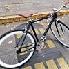 FIXIE VERDE OSCURO GLOSSY / BLANCO