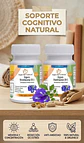 Pack Tonico Cerebral Shankhpushpi Orgánico 120 capsulas  - Miniatura 1