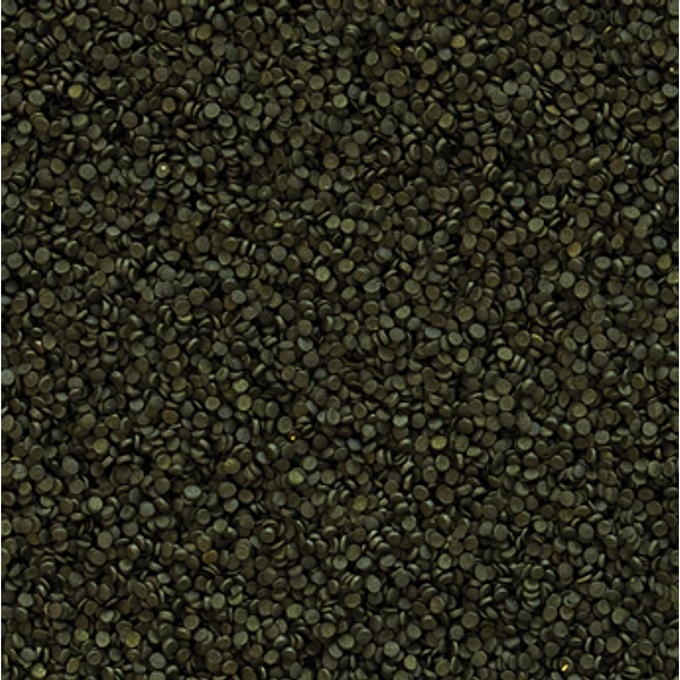 TROPICAL SUPER SPIRULINA FORTE GRANULAT  3