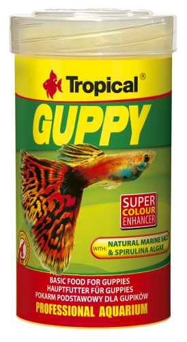 TROPICAL GUPPY
