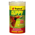 TROPICAL GUPPY  1