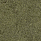 REV SERA MICRON 25g 2