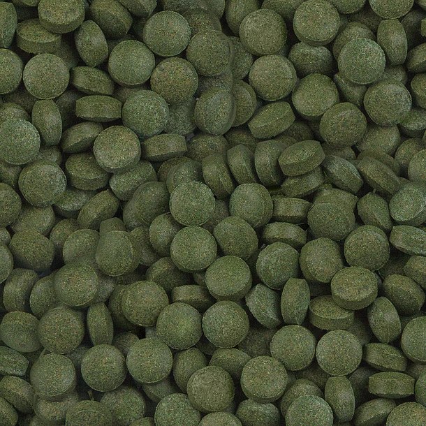 REV SERA PLANKTON TABS 65 GR 2