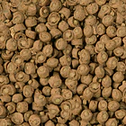 REV SERA REPTIL CARNIVOR 80g/250ml 2