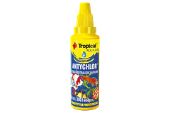 TROPICAL ANTYCHLOR