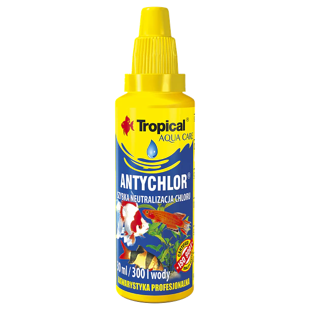 TROPICAL ANTYCHLOR