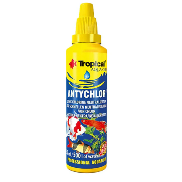 TROPICAL ANTYCHLOR 1