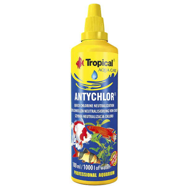 TROPICAL ANTYCHLOR 2