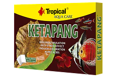REV TROPICAL KETAPANG (SET 6 SACHET DE 5 GR) 