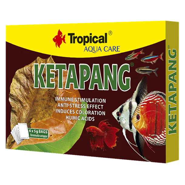 REV TROPICAL KETAPANG (SET 6 SACHET DE 5 GR) 