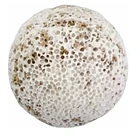 REV DYMAX BIO SPHERE 2