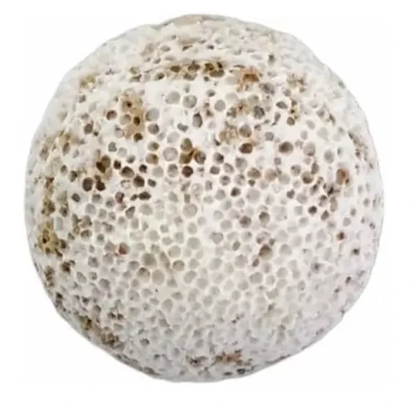REV DYMAX BIO SPHERE 2