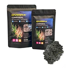 REV DYMAX COMPOSEAL BONDING SPONGE 1