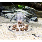 REV ISTA Snail Trap  4
